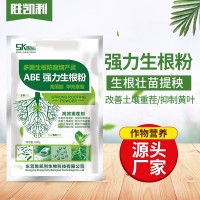 廠家批發(fā)生根粉壯秧劑抗重茬微生物菌肥生根劑 ABE強(qiáng)力生根