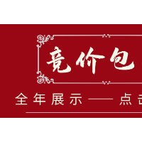 競(jìng)價(jià)包年