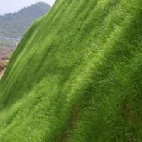 山體復(fù)綠 客土噴播 山體綠化 巖石復(fù)綠 植物護(hù)坡