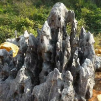 大型景觀石天然黃蠟石太湖石假山石英石廠家黃蠟石廠家黑山石