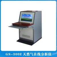 GS-300Z天然氣在線分析儀