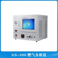 GS-300燃?xì)夥治鰞x