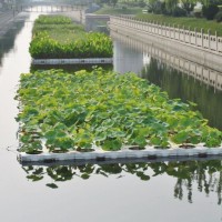 生態(tài)浮島