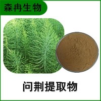 森冉生物 問荊提取物 節(jié)節(jié)草提取物 植物提取原料粉