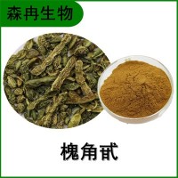 森冉生物 槐角提取物 槐實(shí)提取物 比例提取原料粉