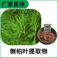 森冉生物 側(cè)柏葉提取物 扁柏葉提取物 比例提取原料粉