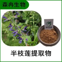 森冉生物 半枝蓮提取物 急解索提取物 植物提取原料粉