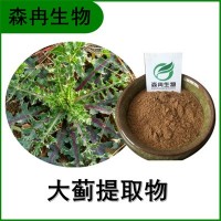 森冉生物 大薊提取物 大刺兒菜提取物 植物提取原料粉