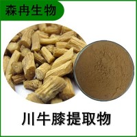 森冉生物 牛膝提取物 懷牛膝提取物 比例提取原料粉