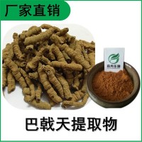 森冉生物 巴戟天提取物 雞腸風(fēng)提取物 比例提取原料粉