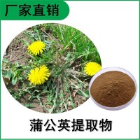 森冉生物 蒲公英提取物 黃花地丁提取物 比例提取原料粉